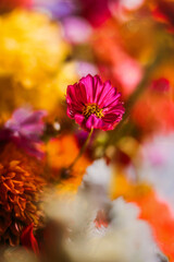 Colorful bouquet with pink flower