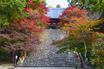 錦秋の京都市高尾 神護寺金堂への石段