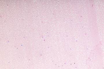 Characteristics Tissue of Thyroid gland, Lymph gland, Larynx of human and Human blood cells study under microscopic.