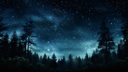 A picturesque night sky