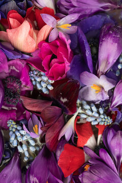 art background with colorful pink, blue and purple spring flowers