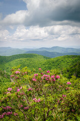Blue Ridge Parkway, Famous Road linking Shenandoah National Park to Great Smoky Mountains National Park