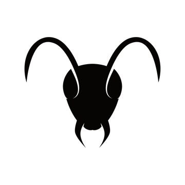 ant head vector logo template