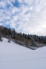 Majestic white spruces glowing by sunlight. Picturesque and gorgeous wintry scene. Alps ski resort. Blue toning. Happy New Year! Beauty world.
