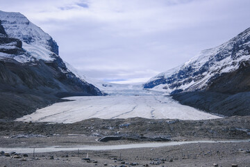 Athabasca Glacier from Columbia Icefield. The glacier is alive, we cannot notice it, but it moves, it creates crevasses it advances and then when it reaches the bottom, it melts. Alberta, Canada