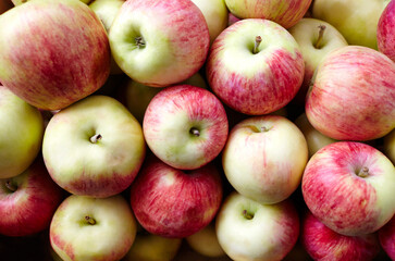 Bunch of organic fresh apples on a market. Overhead view of fresh organic apples. Healthy eating concept
