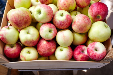 Wooden crate box full of fresh apples. Overhead view of fresh organic apples harvesting concept