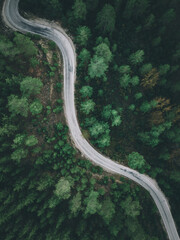 Aerial view of forest road with pine trees on both sides in autumn