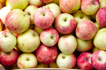 Wooden crate box full of fresh apples. Overhead view of fresh organic apples harvesting concept