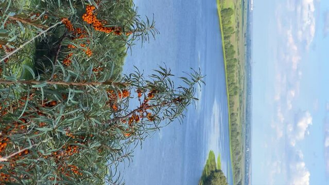 Picturesque view of the Kama River from the observation deck at the Yelabuga settlement. The movement of clouds over the river. Lower Kama National Park. Yelabuga, Republic of Tatarstan, Russia, 4K