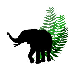 World Animal Protection Day.Elephant and tropical leaves .ecology of the earth.Animals around the world,Animal green world .White background.Animal Day on October 4th