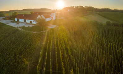 Bavarian Hop field with farm from top with sunset background
