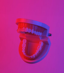 Human jaw model floating in the air, isolated in blue-red neon gradient light. Levitating objects. Minimal concept
