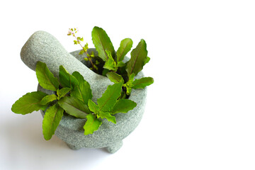 Holy basil with flower in stone mortar and pestle - obrazy, fototapety, plakaty
