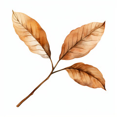 Watercolor brown leaf branch paper painting isolated on white background