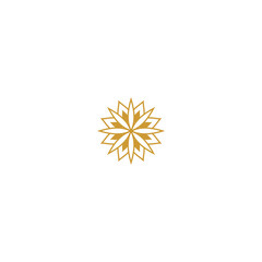 Fototapeta premium set of gold colored mandala elements art