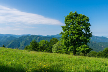 panorama of beautiful countryside of slovakia. sunny afternoon. wonderful springtime landscape in mountains. grassy field and rolling hills. rural scenery