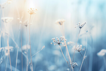 Abstract landscape of dry frozen wildflower and grass meadow Tranquil winter fall nature field background.