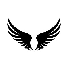wing isolated vector