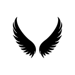 wing isolated vector