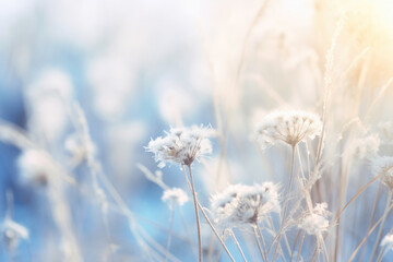Abstract landscape of dry frozen wildflower and grass meadow Tranquil winter fall nature field background.