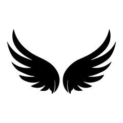 wing isolated vector