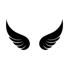 wing isolated vector
