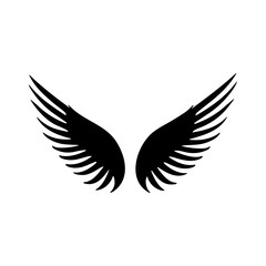 wing isolated vector
