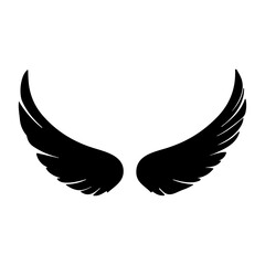 wing isolated vector