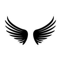wing isolated vector
