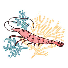 hand drawn vector illustration of shrimp