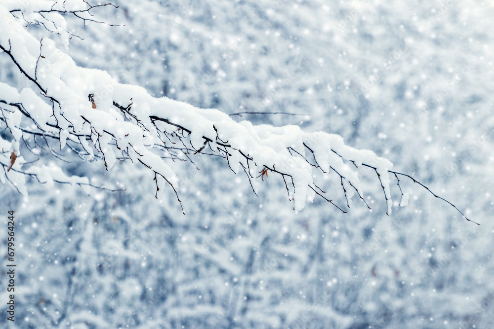 Poster a tree branch covered with snow in the forest during a snowfall