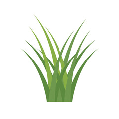 grass vector for background 