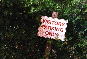 Visitor Parking Only red and white sign, by a fence of bushes and plants. 