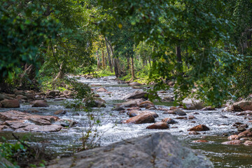 gods own country kerala india nature 