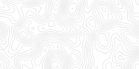 Abstract wave pattern with lines . Abstract Vector geographic contour map and topographic contours map background. Abstract white pattern topography vector background. Topographic line map background