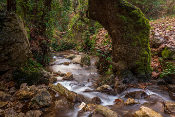 Obraz premium waterfall in the forest