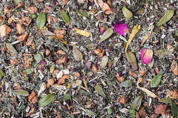Dried natural large tea leaves close up. Crushed Sudanese rose flowers, chopped mint and raspberry leaves, currant and lingonberry leaves, tea rose petals, apple pieces.