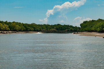 A group of tourists on a scenic boat ride against mangrove forest at Lamu Isalnd, Kenya