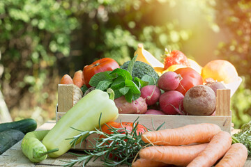 Fresh organic vegetables in a wooden box on a wooden table in the garden - 679577092