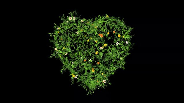 Heart shape with grass and colorful flowers on plain black background