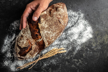 Homemade sourdough bread in hand on a dark background. top view. copy space for text - obrazy, fototapety, plakaty