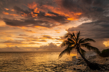 sunset on the beach