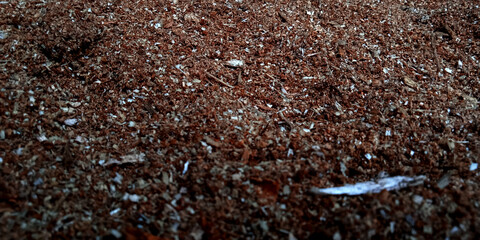Brownish wood sand background