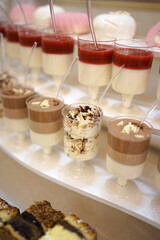 Beautiful, sweet and delicious mousses are laid out on the shelves of the buffet table.