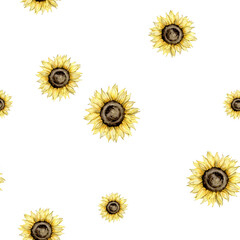 seamless pattern with hand drawn watercolor sunflowers. autumn set Hand painted isolated on background. Floral illustration for design, print, fabric stationery, cosmetic, greeting card, social media