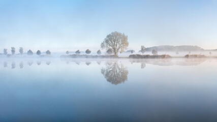 Minimalistic image of Willow Tree by Lake with morning fog at dawn