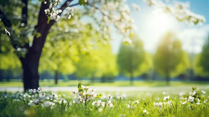 Tuinposter Generative AI image of a Beautiful blurred spring background nature with blooming glade, trees and blue sky on a sunny day © Eitan Baron