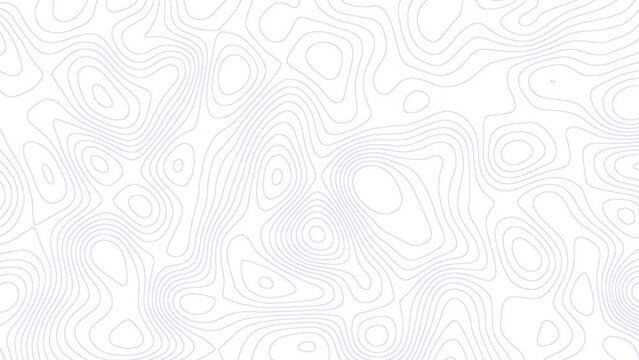 Animated Seamless Purple Topographic Lines Motion Background. Abstract background with waves Animation.	