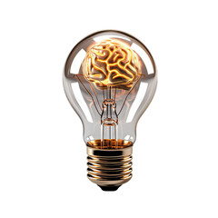Lightbulb with Brain Inside Isolated on Transparent or White Background, PNG